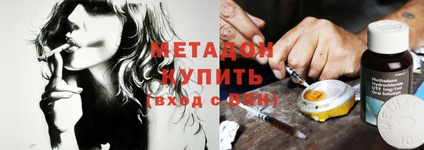 прущие грибы Приозерск