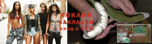 прущие грибы Протвино