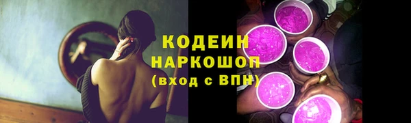 прущие грибы Приозерск