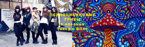 бошки Аркадак